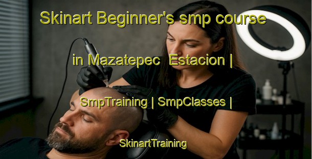 Skinart Beginner's smp course in Mazatepec  Estacion | SmpTraining | SmpClasses | SkinartTraining-Mexico